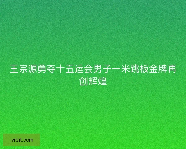王宗源勇夺十五运会男子一米跳板金牌再创辉煌